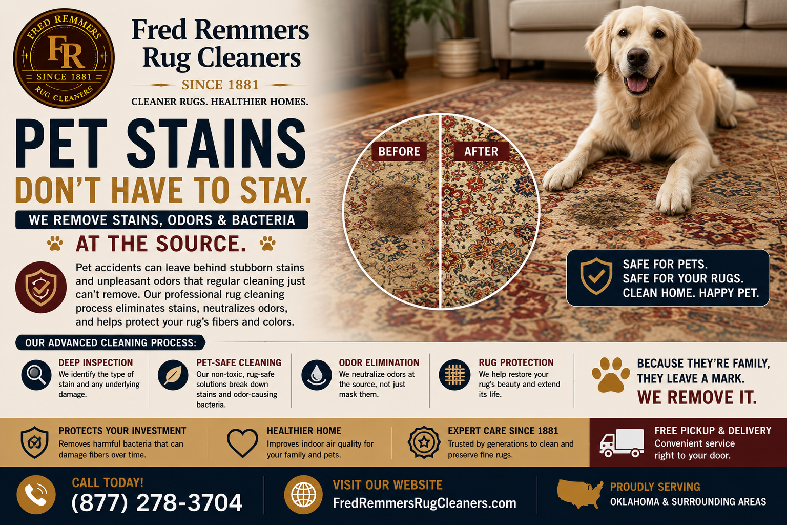 Blotting a fresh pet stain from a wool oriental rug with a clean white cloth